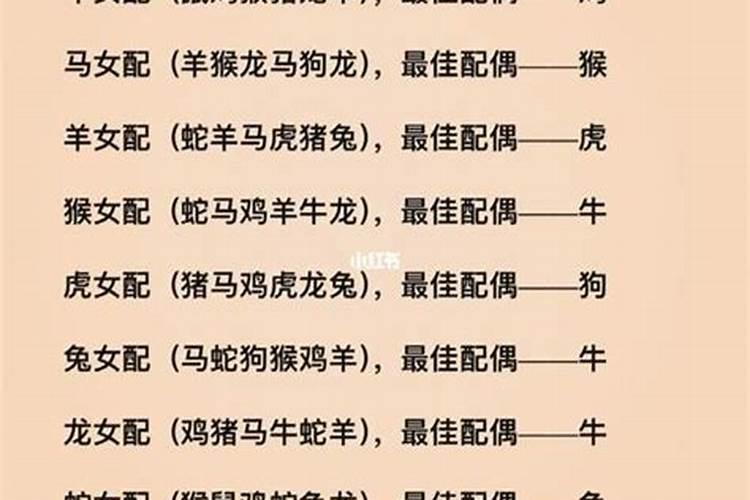 夫妻属相相刑会怎么样,我和老公生肖相刑怎么化解