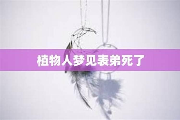 2025年犯太岁的将军是谁？
