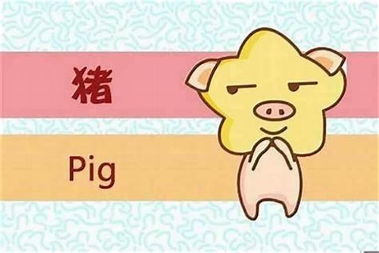 1995属猪的三大坎是哪三大坎 属猪人命里带二婚是真的还是假的