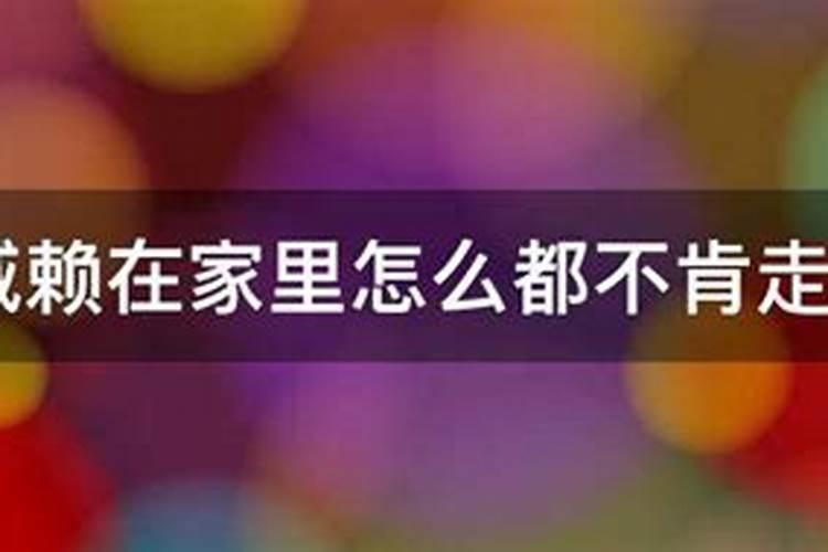 在家居士可以做超度法会吗
