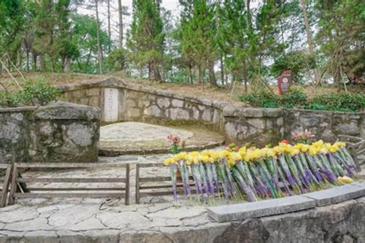 梦见坟墓地是什么预兆