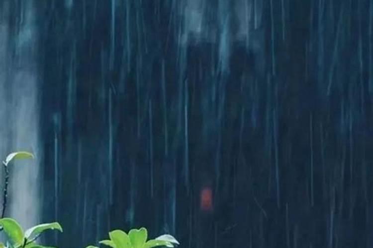 下雨天去扫墓可以么