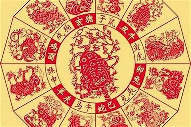 梦见路上有水坑的预兆
