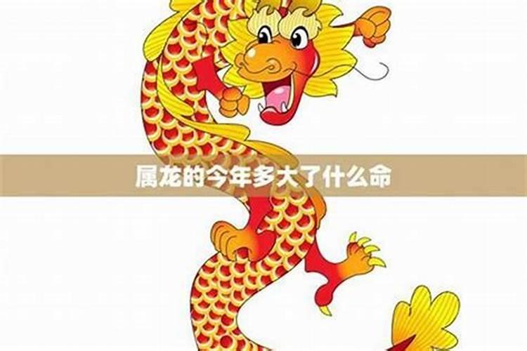 属龙的出生月份命运如何