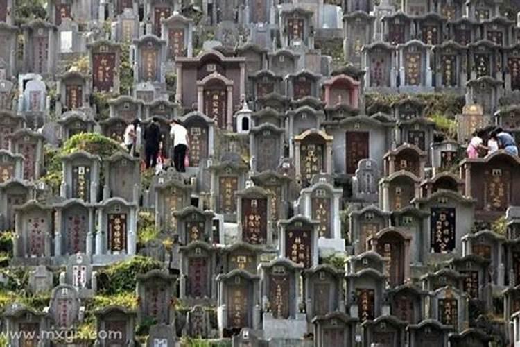 梦见花生是什么预兆