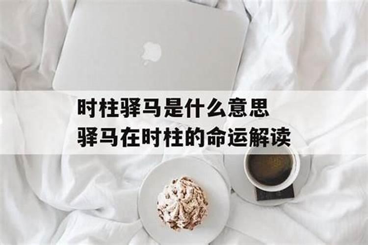 八字中的时柱是天乙 太极 驿马 童子 地网 孤鸾是什么意思