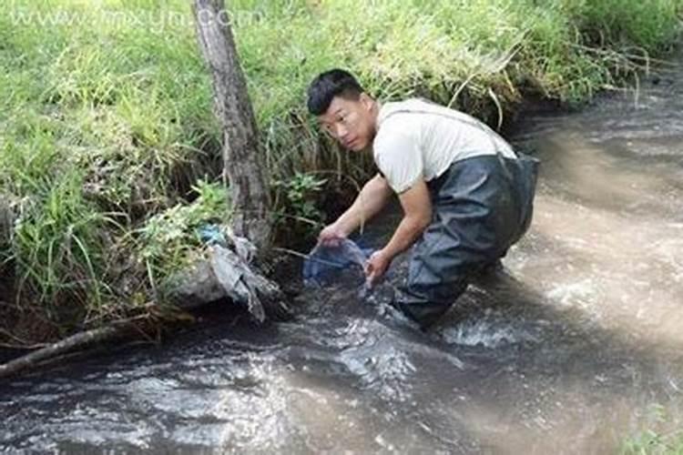 梦到在河里抓鱼是什么预兆？