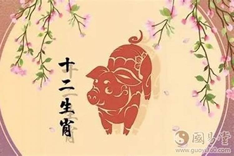 87年属兔女和94年属狗男可以在一起吗？