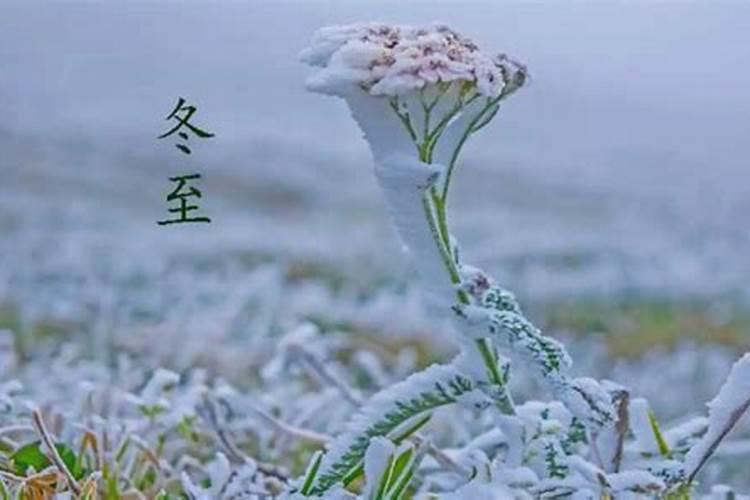 冬至祭祖扫墓注意事项