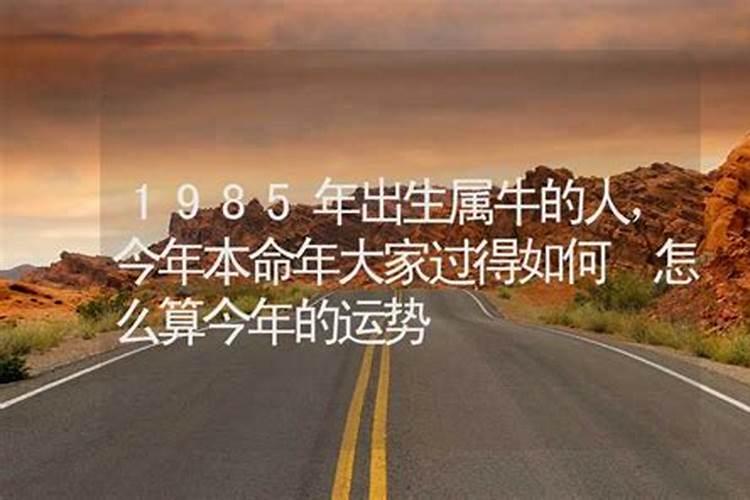 1985属牛女2025年的运气和财运怎么样