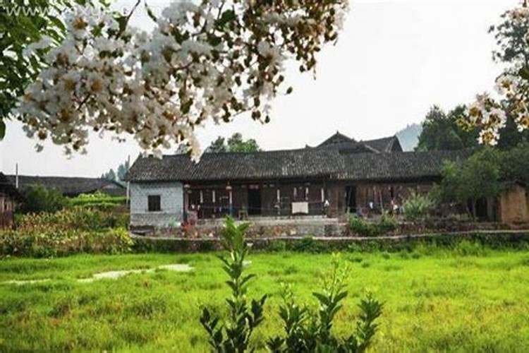 怎样让仙家报名更快