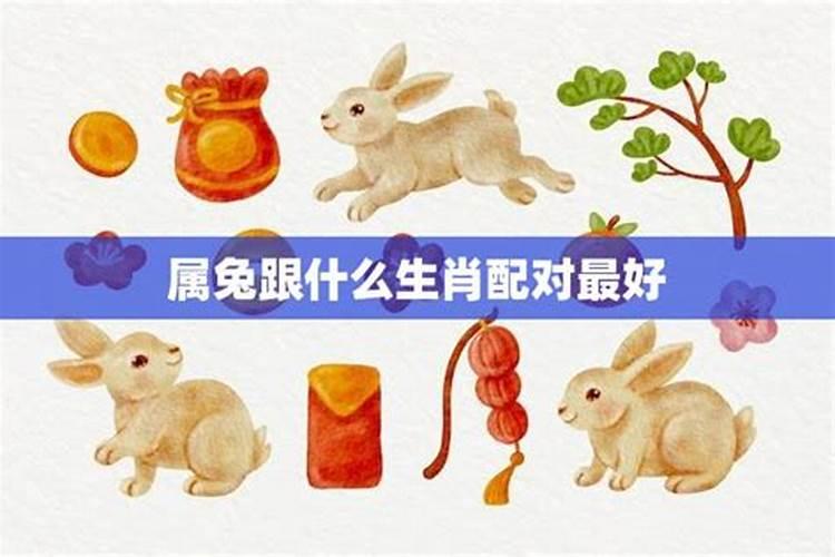 属兔的最佳配偶属相是什么