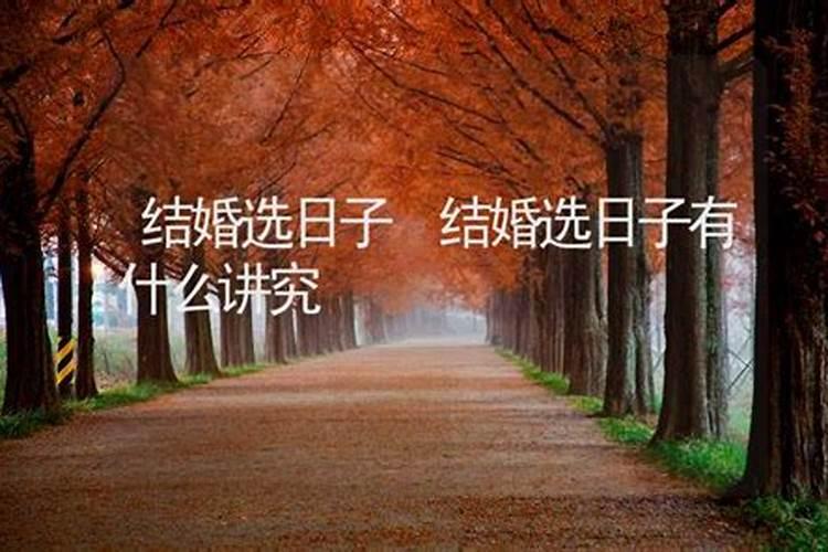 小鱼跳出鱼缸的是什么游戏鲤鱼奇迹跳出鱼缸寓意什么