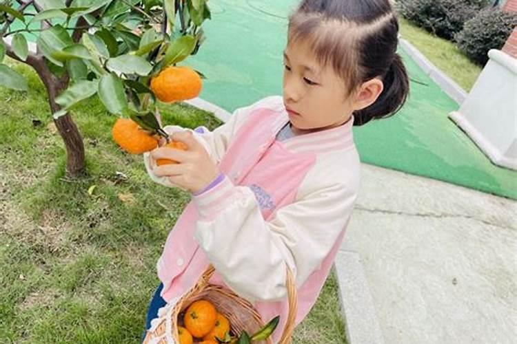 上供碗菜都放什么菜
