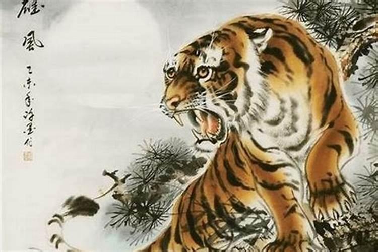 1986年属虎2024年本命年运气好吗 86年出生属虎36岁带什么合适
