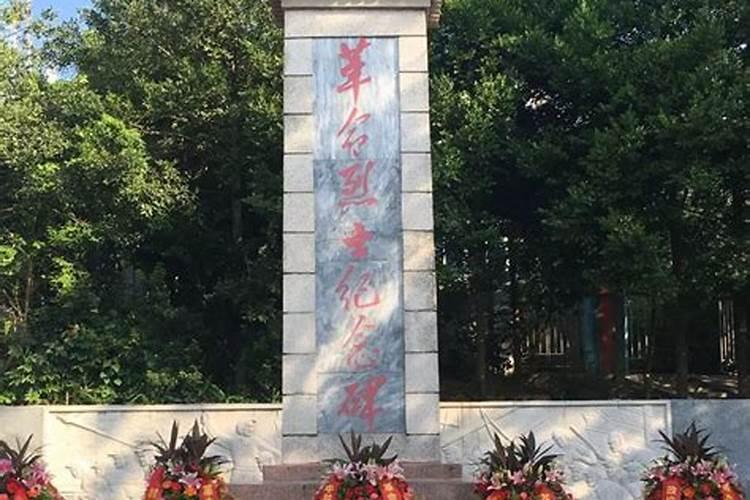 清明挂亲用红色的花能祭奠吗？