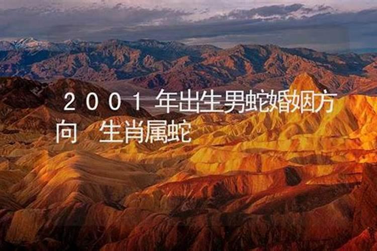 2001属蛇2025年运势详解