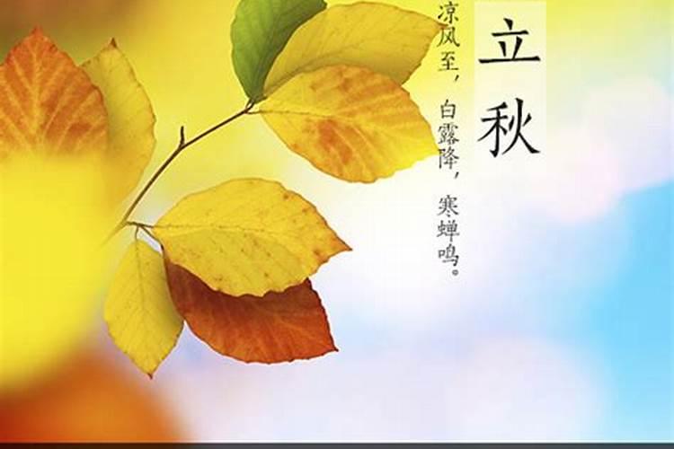 今年几号立秋2024 立秋习俗