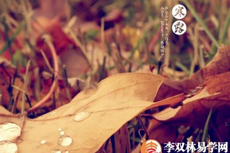 婚姻本身亦不佳是什么意思