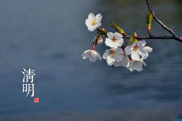 清明节三不带一要带是什么