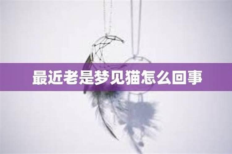 女人梦到钱是什么预兆
