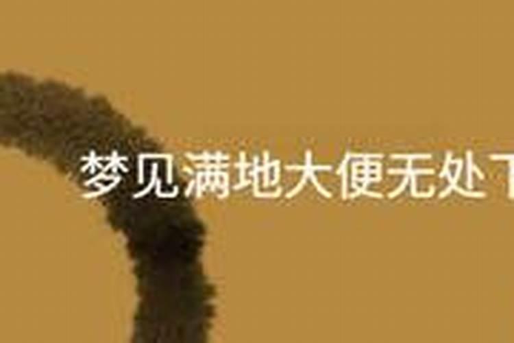 梦见上厕所到处是脏的的预兆