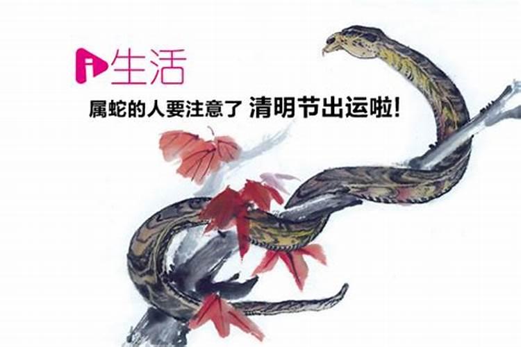 女命官杀混杂就一定贱吗 有什么说法