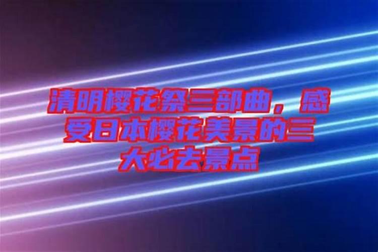 清明樱花祭作品简介