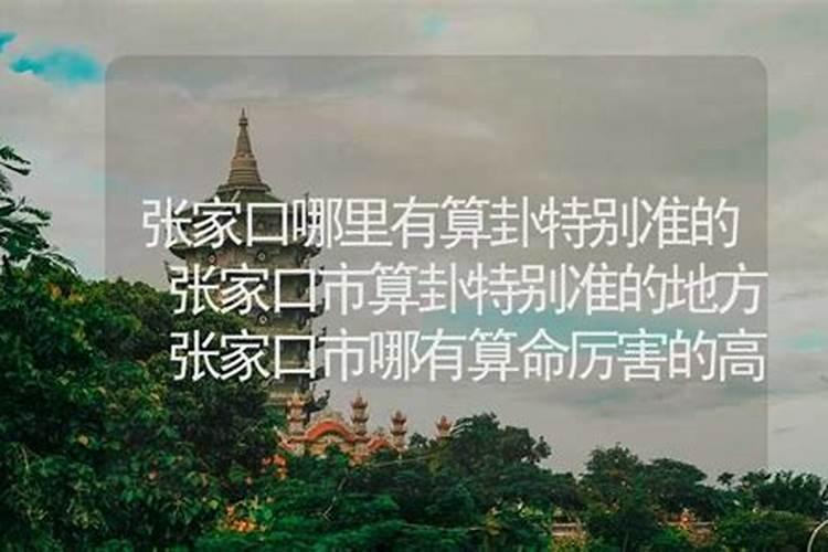 文王神卦解签大全集？