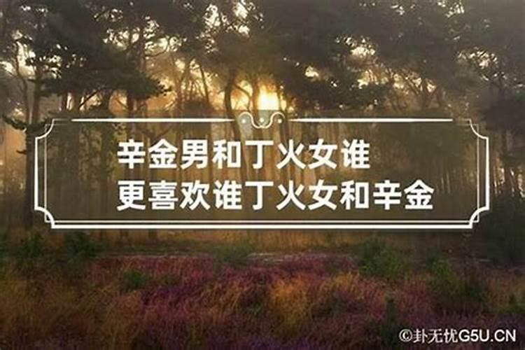 76龙2025每月运势