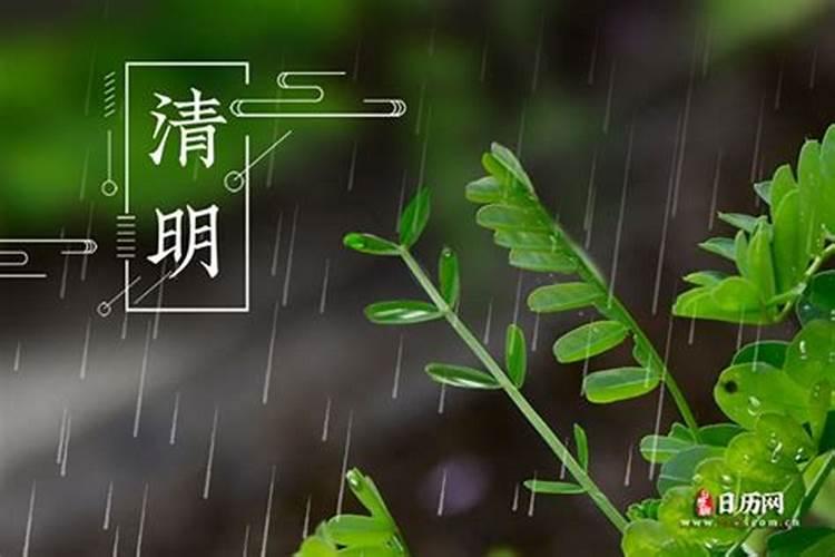 清明上坟哪天去最好