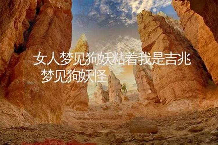 梦见小狗狗一直粘着我是什么兆头？