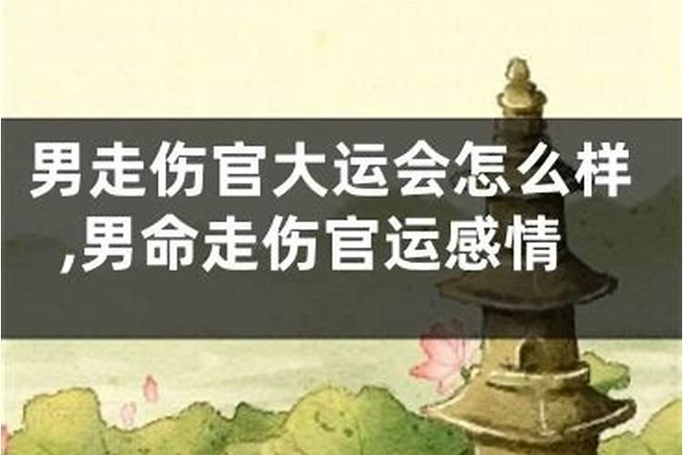 走伤官大运是什么意思？