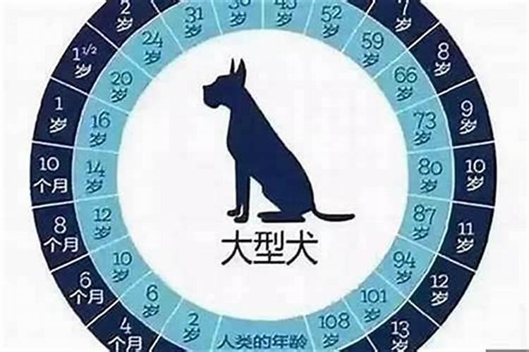 82年狗女2025年运势及运程每月运程