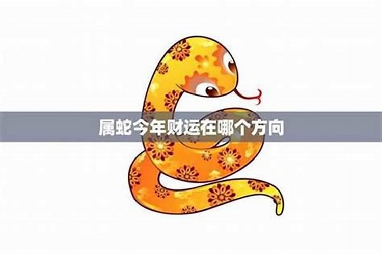 属蛇客厅摆什么最旺财运