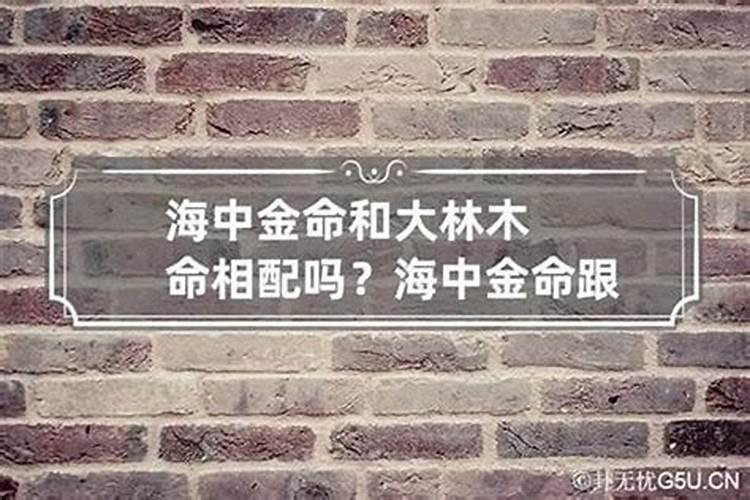 男金海底命,女大林木命从五行讲般配吗(不懂的别答啊,想听听这放面说法...