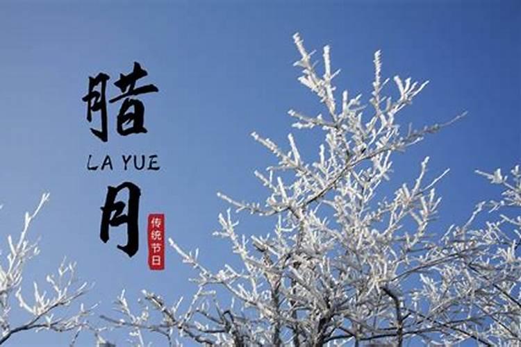 2024年属虎的多大年龄2024年属虎岁数表