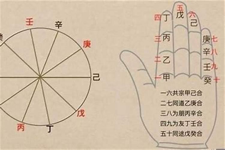 八字十天干五合是什么意思 八字天干五合的条件