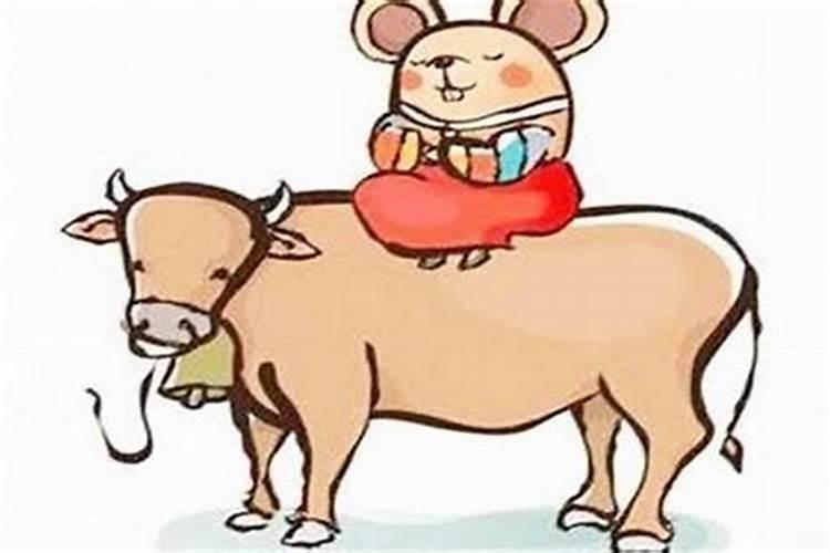 童子命如何破解？