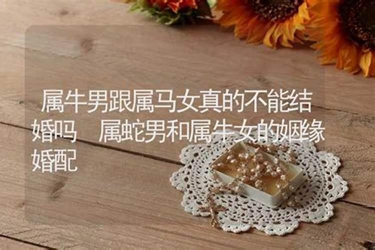 犯太岁立春这天有什么讲究!