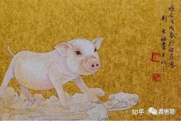 属猪交运最佳时间 交运当天注意事项？