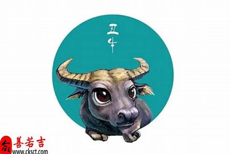 2025年厦门元宵节有灯会吗