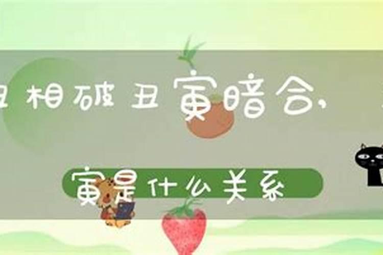 丁丑年婚配庚辰年好吗,帮忙测一下八字合婚？