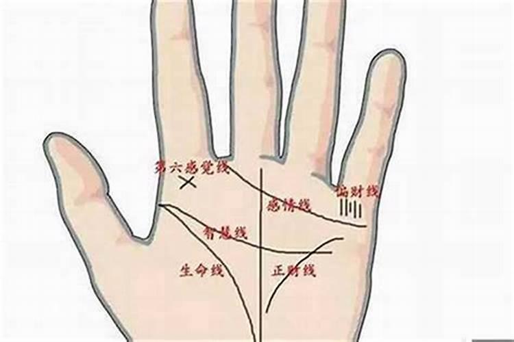 怎样看手相财运线 不同财运线的含义？