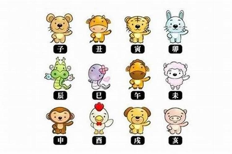女属羊男属兔在八字中合不合,还有合中带克是什么意思