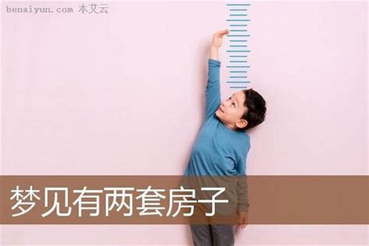 梦见总老家有两处房子