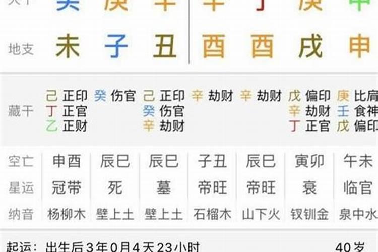 2025年各日柱运程