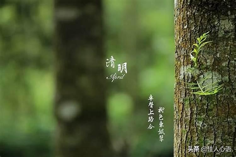 犯太岁怎么办 ,采取方法进行化解