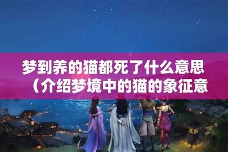 梦见好多猫都死了的预兆