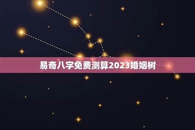 易奇八字婚姻树准吗？